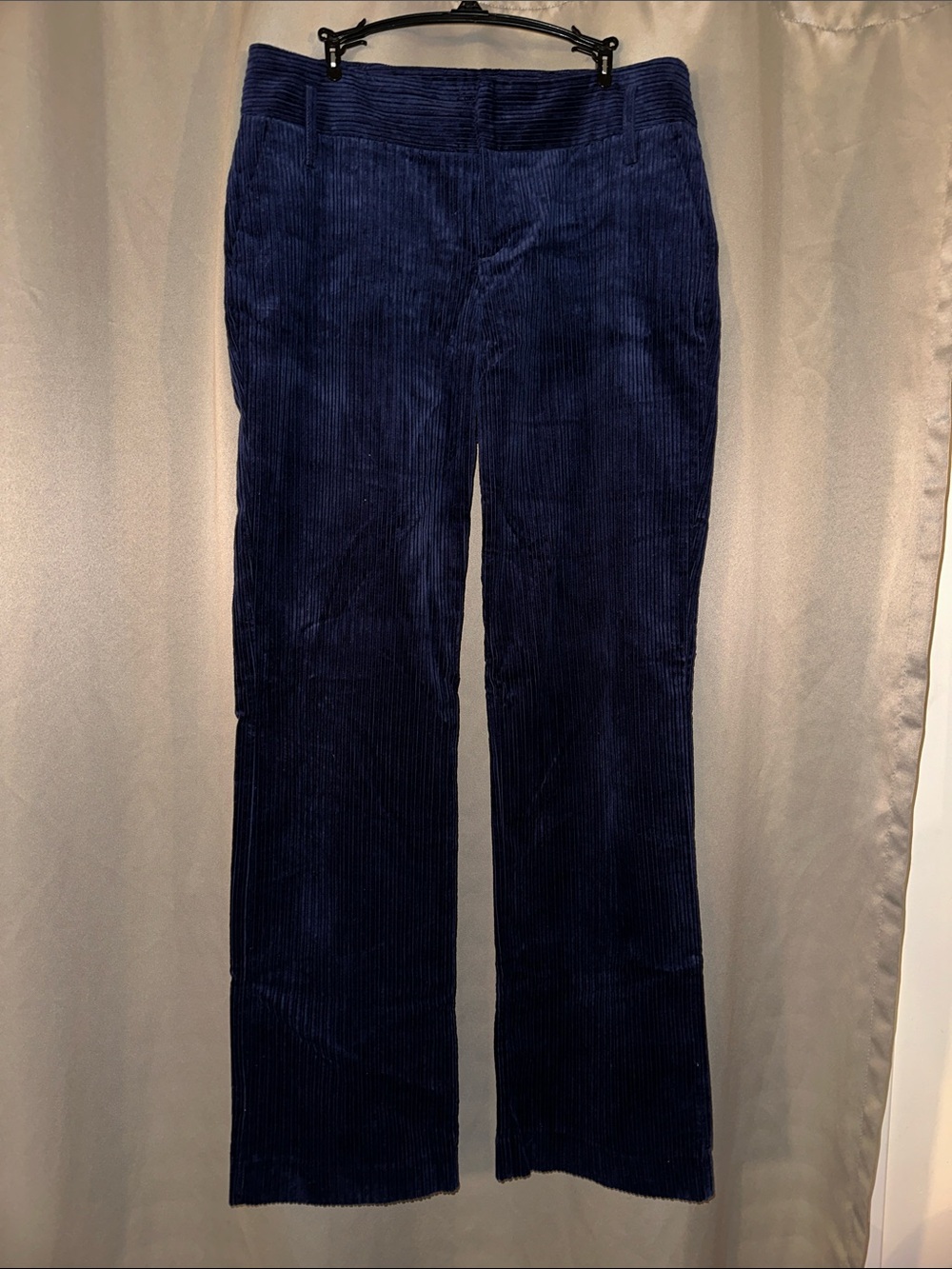 Zara Women’s Dark Navy Corduroy Pants